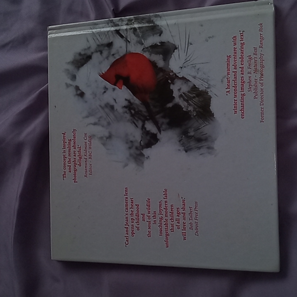 Book - Picture 2 of 4